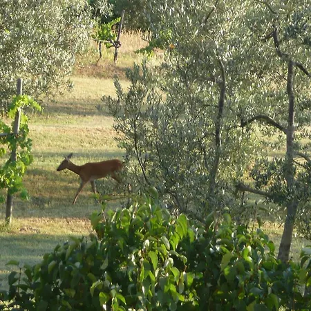 Casa Ercole Farm Greve in Chianti